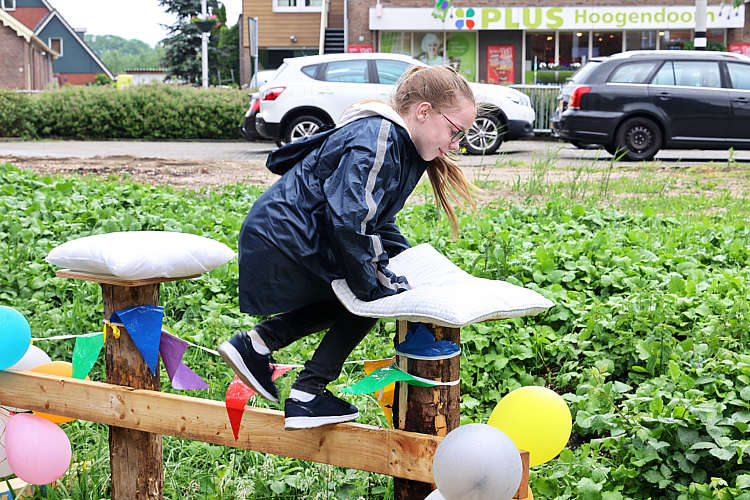 Rommelmarkt 2022 Waarder_008